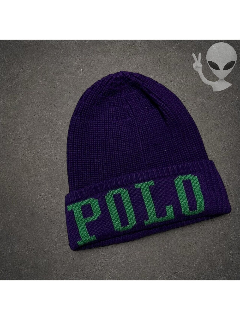Polo Ralph Lauren Knit Beanie Hat Unisex One Size Purple Green Spell Out Logo